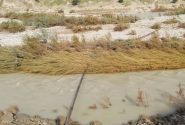 رودخانه زهره طغیان کرد/ خط انتقال آب باباکلان تخریب شد