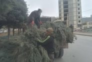گزارش عملکرد سازمان سیما منظر و فضای سبز شهری شهرداری یاسوج در فصل زمستان
