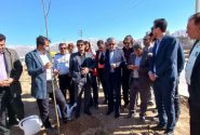 بیل و کلنگ در دست شهردار و رئیس شورای شهر/ آغاز کشت ۲۰ هزار درخت و درختچه در یاسوج+ تصاویر
