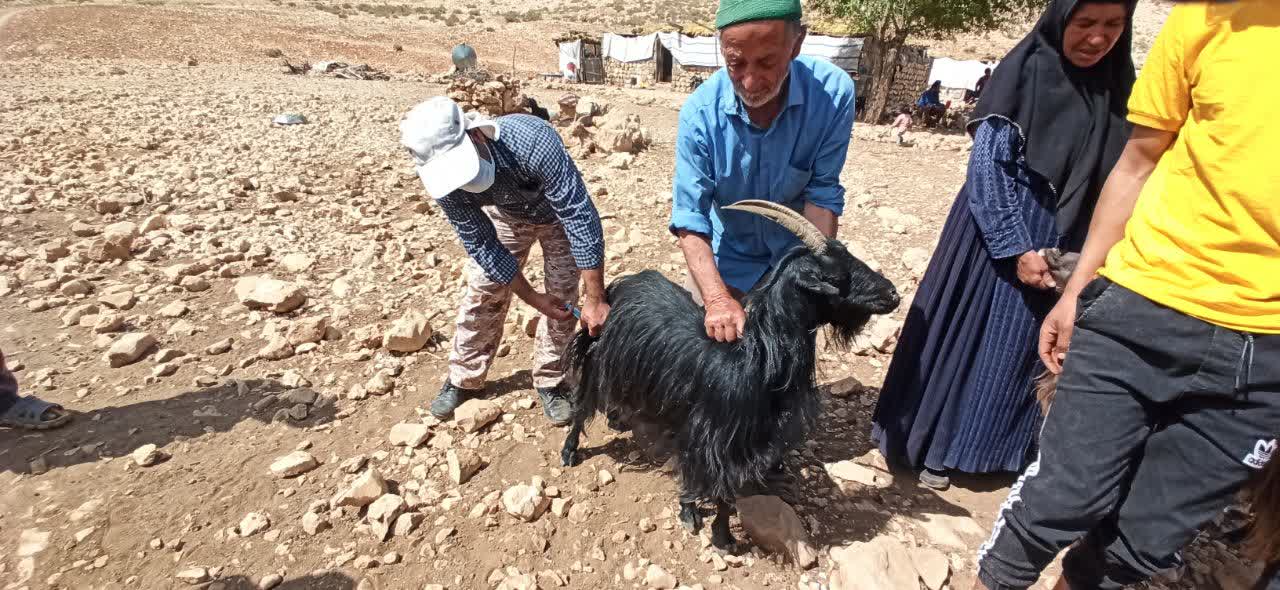 اعزام کاروان دامپزشکی قرارگاه جهادی توسعه روستایی بنیاد احسان به منطقه عشایری سیاه کوه 