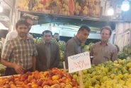 اقدام جهادی مسئولان اصناف یاسوج /بازرسی از میدان میوه فروشان شیراز تا یاسوج+تصاویر