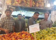 اقدام جهادی مسئولان اصناف یاسوج /بازرسی از میدان میوه فروشان شیراز تا یاسوج+تصاویر