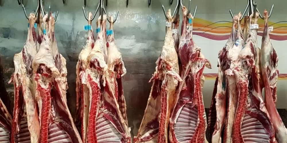 جزای نقدی و پلمب،سزای گرانفروشی گوشت در کهگیلویه