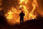 امیدها از بارش های بهاری و بیم ها از خطر آتش سوزی جنگل در کهگیلویه وبویراحمد