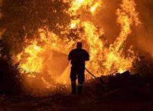امیدها از بارش های بهاری و بیم ها از خطر آتش سوزی جنگل در کهگیلویه وبویراحمد